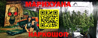 СК Шахты