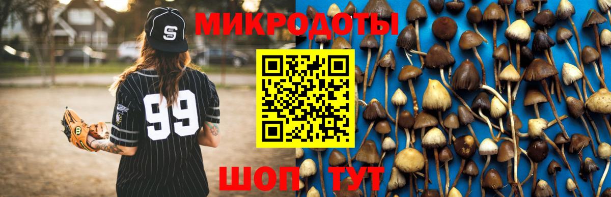 Псилоцибиновые грибы GOLDEN TEACHER  Псилоцибиновые грибы Psilocybe  Баксан  Вход с VPN 