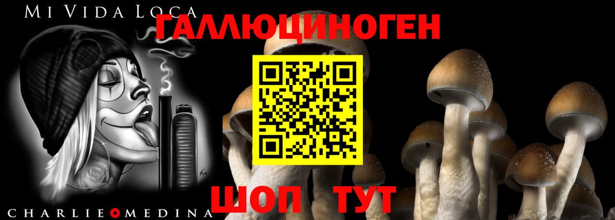 Галлюциногенные грибы Magic Shrooms Баксан